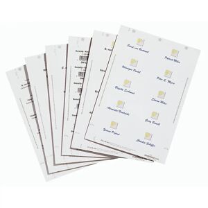 DURABLE Pliegos de plantillas BADGEMAKER, para H x A 30 x 60 mm, UE 2700 unid., en blanco