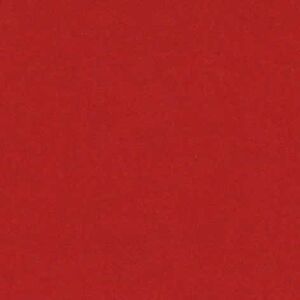 Canson Cartulina Iris 23x32 240g rojo 50 hojas