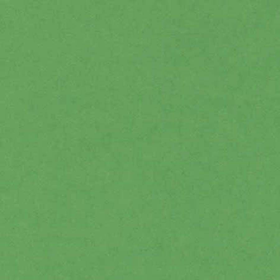 Canson Cartulina Iris 23x32 240g verde oscuro 50 hojas