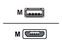 POLYCOM Cable Type A to Micro USB 3m with torx screws and security loop for VoxBox