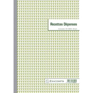 EXACOMPTA Réf. 13500AE 1 Manifold RECETTES DÉPENSES 50 feuillets numérotés et autocopiants en 2 exemplaires (1 original + 1 copie) format A4 certifié FSC fabriqué en France - Publicité