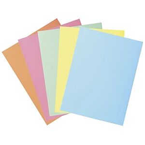 Chemise-dossier 2 rabats  240 x 320 mm - Carte 250 g/m² - Assortis Pastel