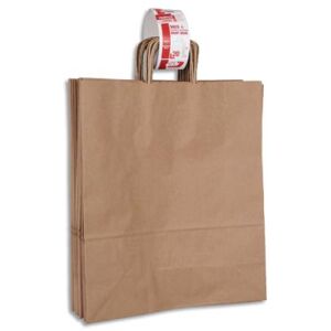 Paquet de 20 sacs à anse torsadée GPV - kraft brun - 100gr/m² - Format 45x40x16cm (L) - FSC-M