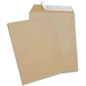 Boîte de 250 pochettes GPV - kraft - auto-adhésives - 90g - format 24 260x330mm