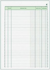 Exacompta Manifold RECETTES DEPENSES - 29,7 x 21 cm - 50 feuilles autocopiantes 2 exemplaires