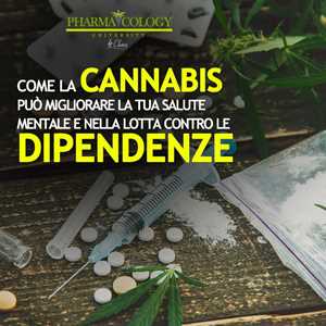 Come la cannabis può migliorare la tua salute mentale e nella lotta contro le dipendenze