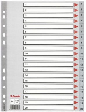 ESSELTE Register Esselte PP A4 1-20 grå 100107