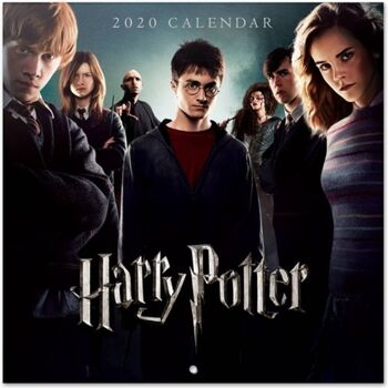 Ofiuria Calendário Harry Potter (2020 - 30 x 30 cm)