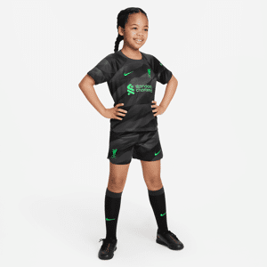 Liverpool FC 2023/24 Goalkeeper dreiteiliges Nike Dri-FIT-Set für jüngere Kinder - Grau - L