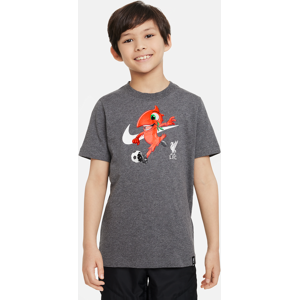 Liverpool FC Mascot Nike-fodbold-T-shirt til større børn - grå grå XL