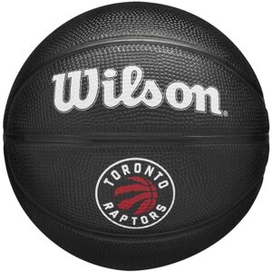 Team Tribute Toronto Raptors Mini ballon de basket-ball unisexe noir