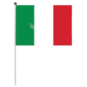 LP Lotto di 12 Bandiere Italia 15x22cm