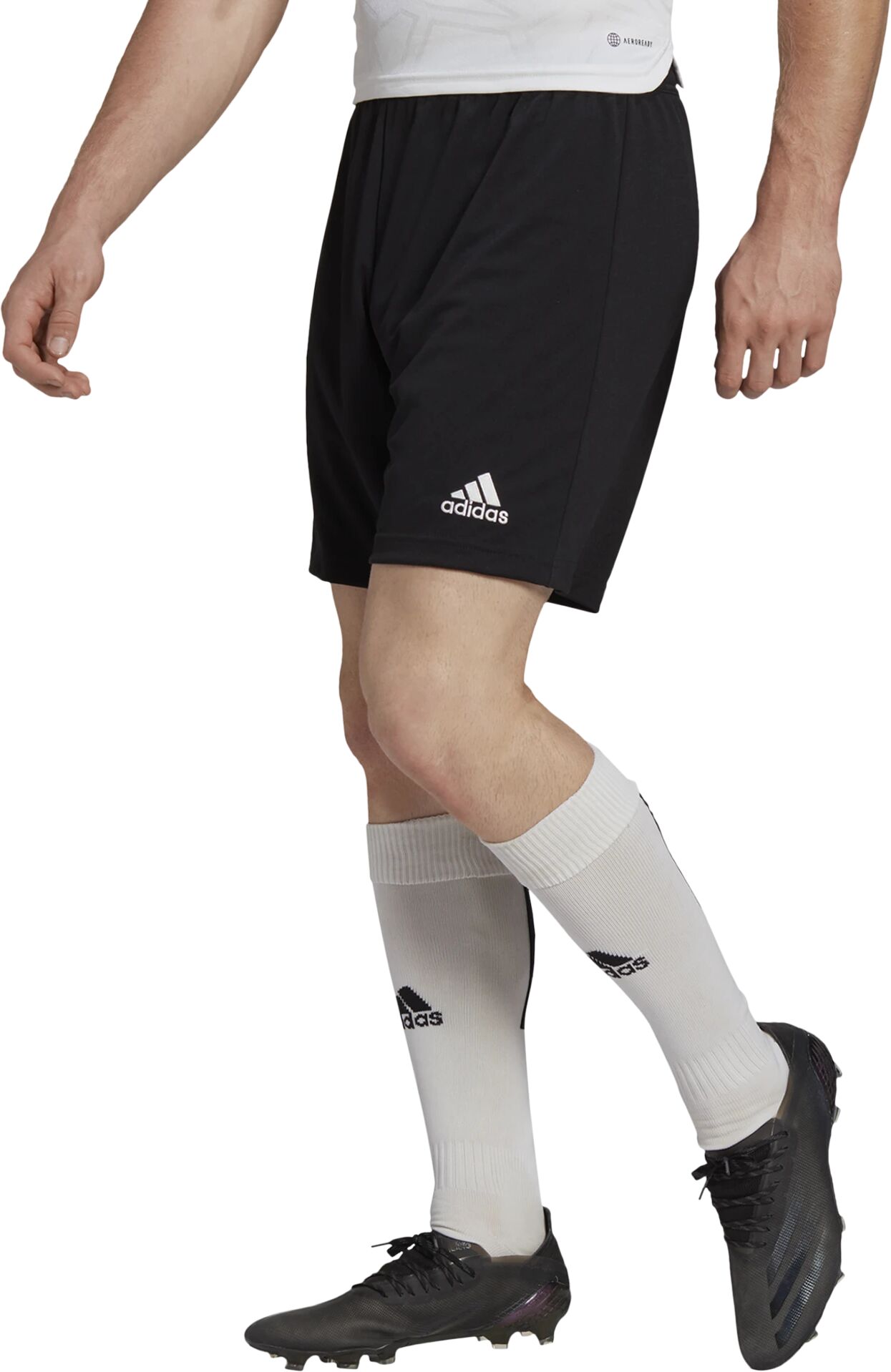 adidas ENT22 SHO, shorts herre XXL BLACK