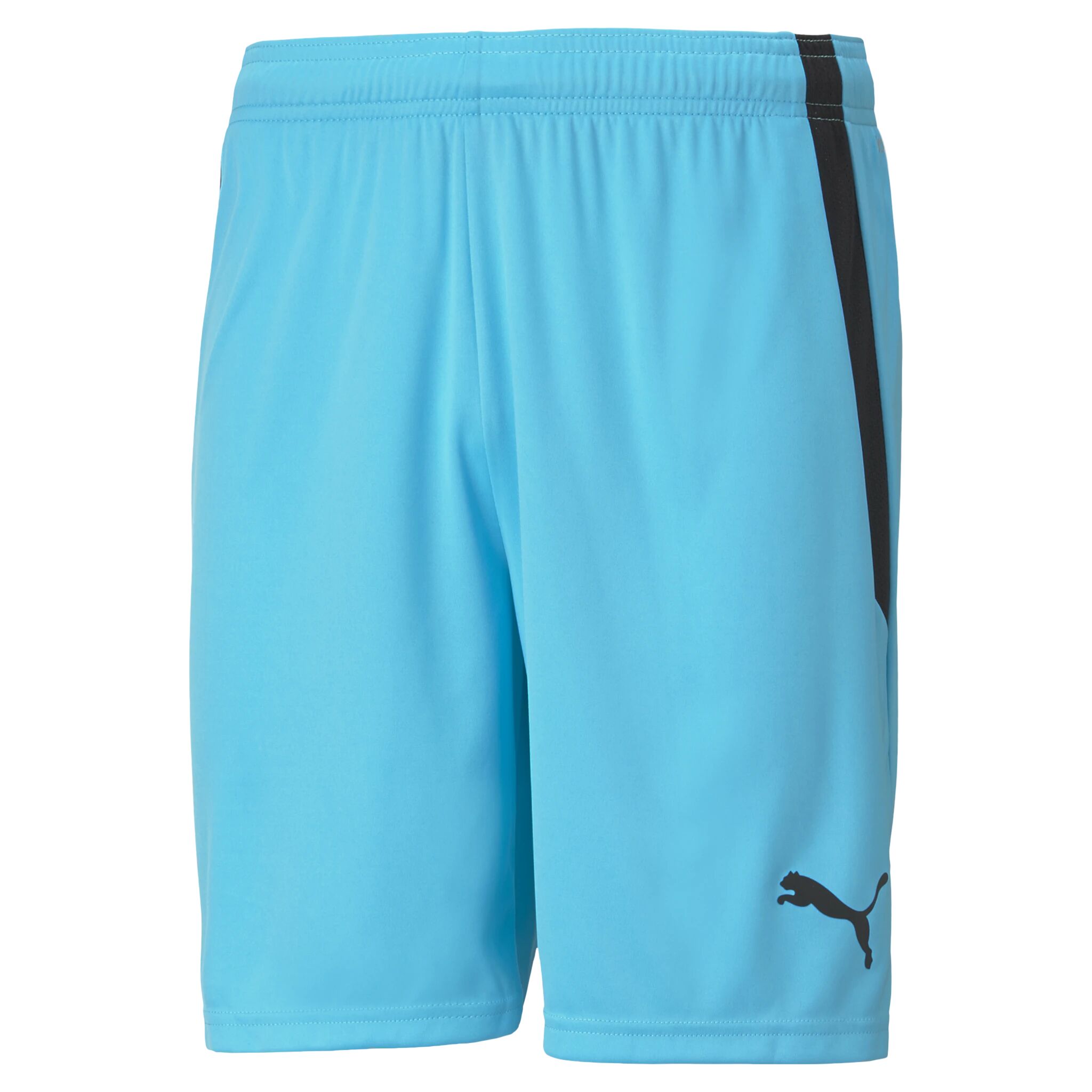 Puma teamLIGA Shorts, fotballshorts herre S Blue Atoll-puma Blac