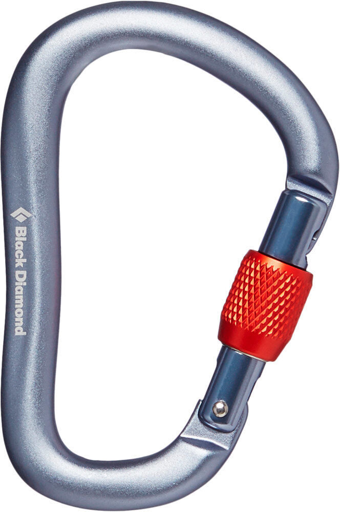 Black Diamond rocklock screwgate carabiner mosquetón seguridad Gris (UNICA)