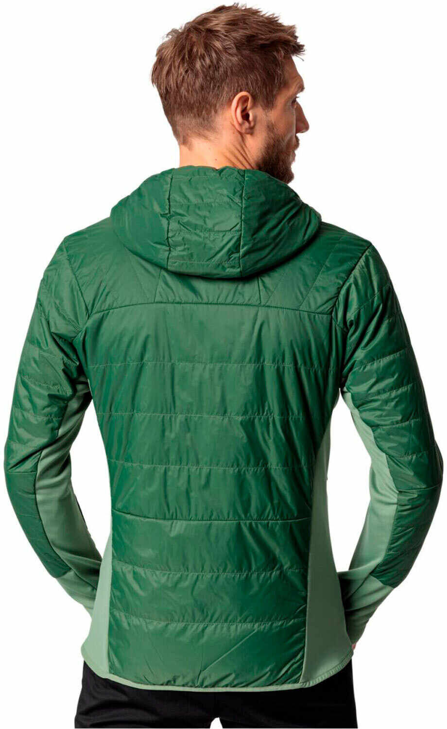 Vaude sesvenna iv chaqueta outdoor hombre Verde (M)