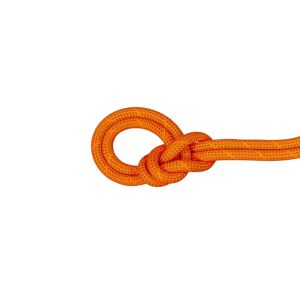 Mammut 9.8 Crag Dry Rope - Corde à simple Safety Orange / Boa Unique - Publicité