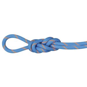 Mammut 8.7 Alpine Sender Dry Rope - corda singola/mezza/gemella Light Blue/Orange 70