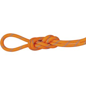 Mammut 8.7 Alpine Sender Dry Rope - corda singola/mezza/gemella Orange/Light Blue 50