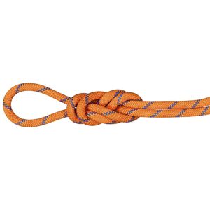 Mammut Alpine Sender Dry 9.0 mm - corda singola/mezza/gemella Orange