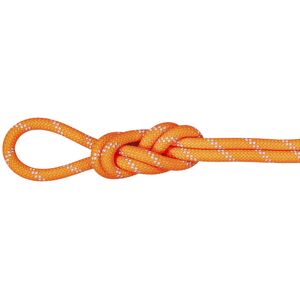 Mammut Alpine Dry 9.5 mm - corda singola Orange