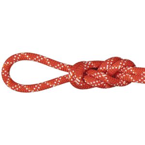 Mammut 9.5 Gym Classic Rope - corda singola Orange 40