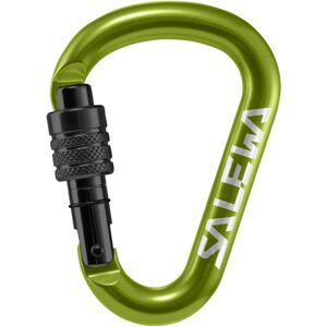 Salewa HMS Screw G2 - moschettone Green S (100 x 72 mm)