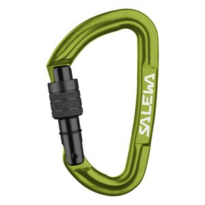 Salewa Hot G3 Screw Carabiner - moschettone Green