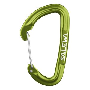 Salewa HOT G3 Wire - moschettone Green