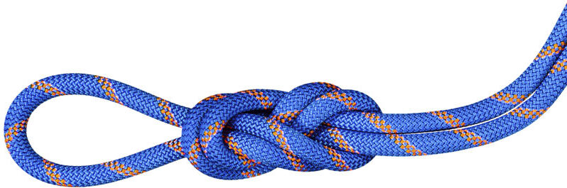 Mammut Alpine Sender Dry 9.0 mm - corda singola/mezza/gemella Blue