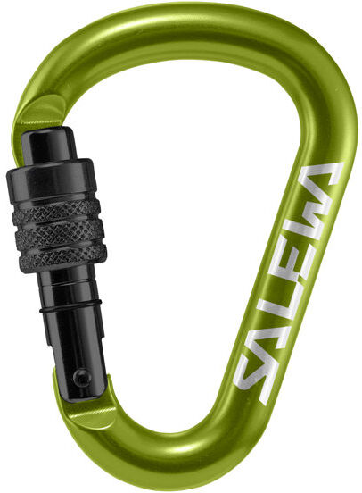 Salewa HMS Screw G2 - moschettone Green S (100 x 72 mm)