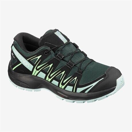 Salomon XA PRO 3D CSWP Green Gables  32