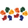 vidaXL Pedras de escalada 10 pcs multicor PE