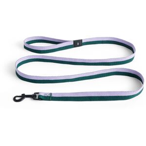 Hay - Hay Dogs Leash Flat, M/l - Lavender, Green - Lila,Grön - Träningsredskap