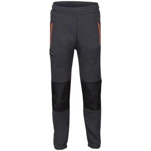 Regatta TRJ395 Jeopardize Joggers XL  Seal Grey