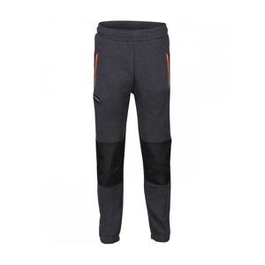 Regatta TRJ395 Jeopardize Joggers M  Seal Grey