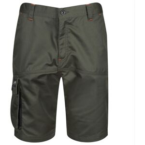 Regatta TRJ388 Heroic Cargo Shorts Khaki 30