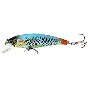 FISHN TINYone wobbler, Poids: 6g, Longueur: 7cm, leurre Artificiel/leurre de pêche/wobbler pour la pêche des Poissons prédateurs comme Le brochet, la Truite (Sky) - Publicité