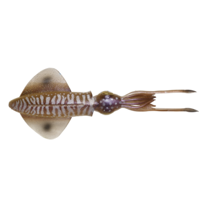 Savage Gear 3D Swim Squid 25 calamaro artificiale Cuttlefish