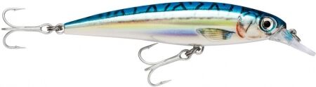 Rapala X-Rap® Saltwater 12 artificiale da pesca BM