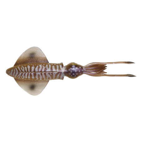 Savage Gear 3D Swim Squid 18 calamaro artificiale Cuttlefish