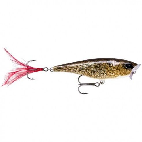 Rapala Skitter Pop 07 esca artificiale da 7 gr. FML_