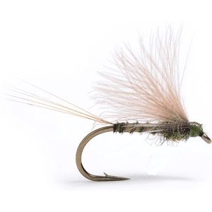 Guideline CDC Biot Dun Emerger DK Olive #14