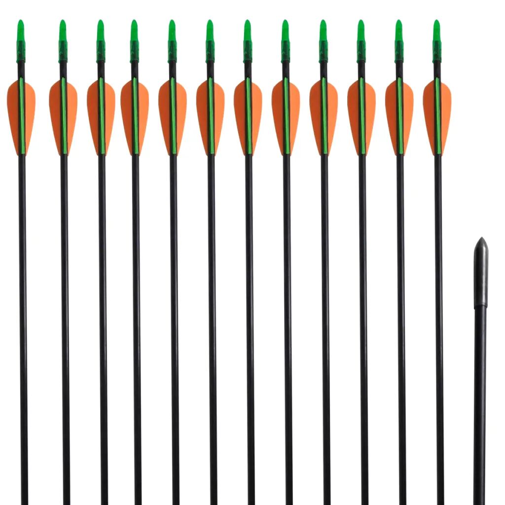 vidaXL Flechas padrão recurve por arcos 76.2 cm/ 0,6 cm fibra de vidro 12 pçs