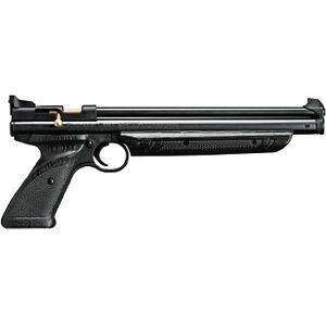 Crosman 1322C