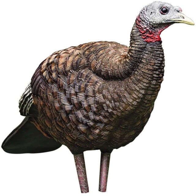 Photos - Other Avian X Turkey Decoy, Breeder, AVX-AVX8008