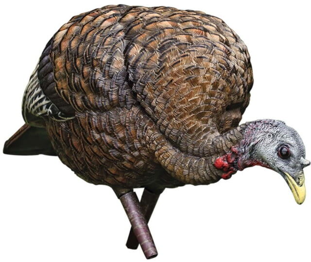 Photos - Other Avian X Turkey Decoy, Feeder, AVX-AVX8007