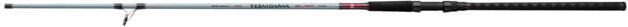 Photos - Other for Fishing Daiwa TD SOL Inshore Spinning Rod, 10ft 6in, Medium Heavy, Fast, 2 Pieces, 