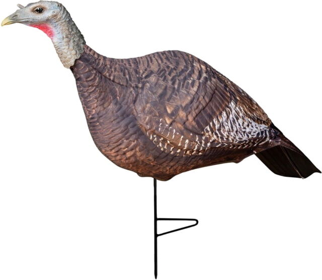 Photos - Other Primos Hunting Photoform Hen Decoys, 69068 