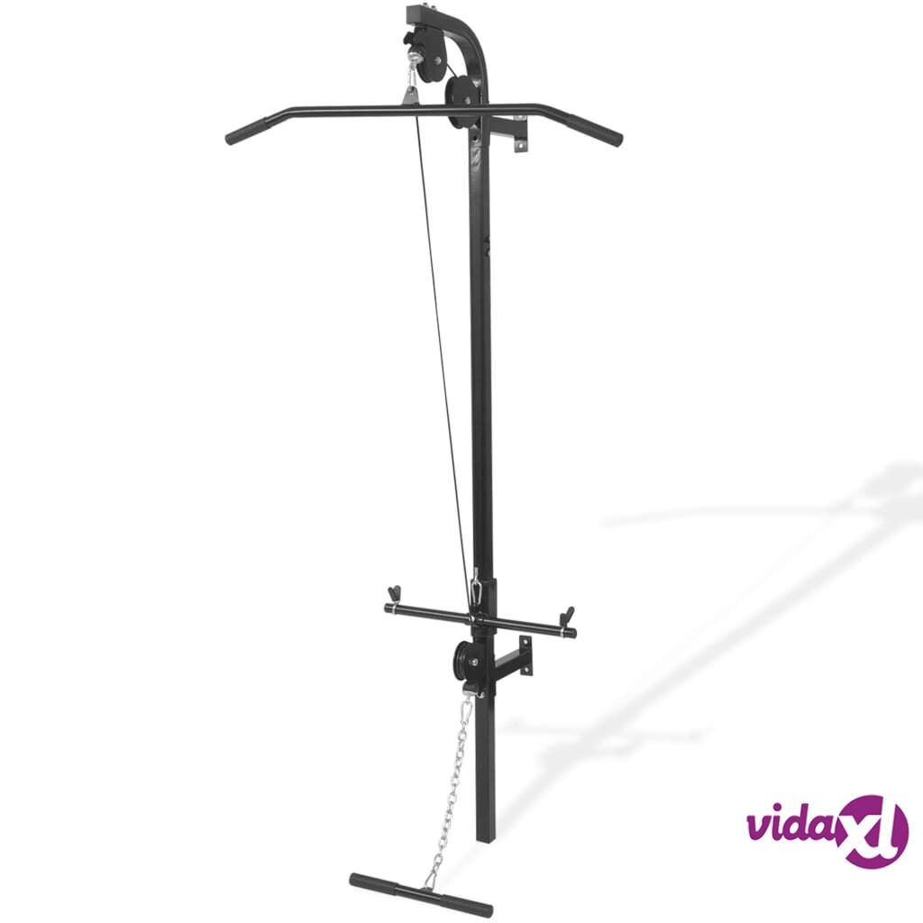 vidaXL Wall-mounted Home Gym with 2 Pulleys